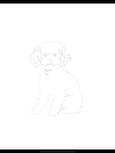 Custom Line Art lllustration