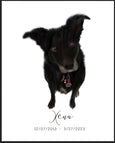 Custom Pet Portraits