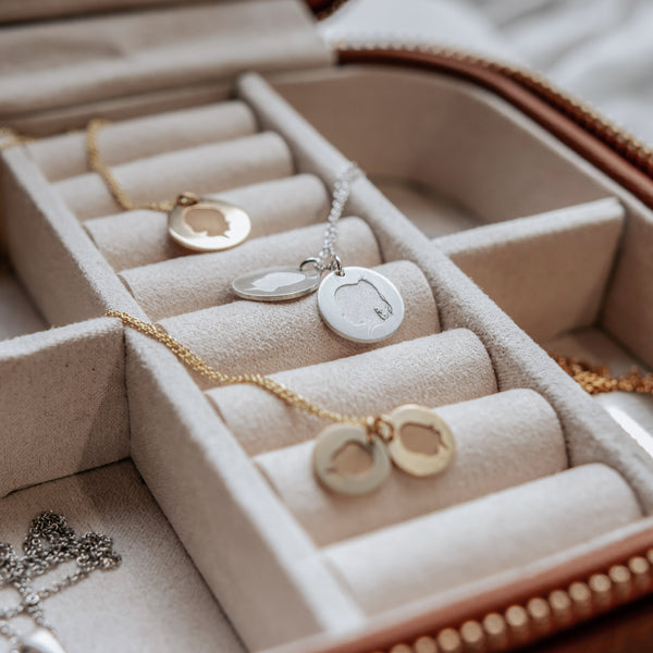 The Jewelry Case