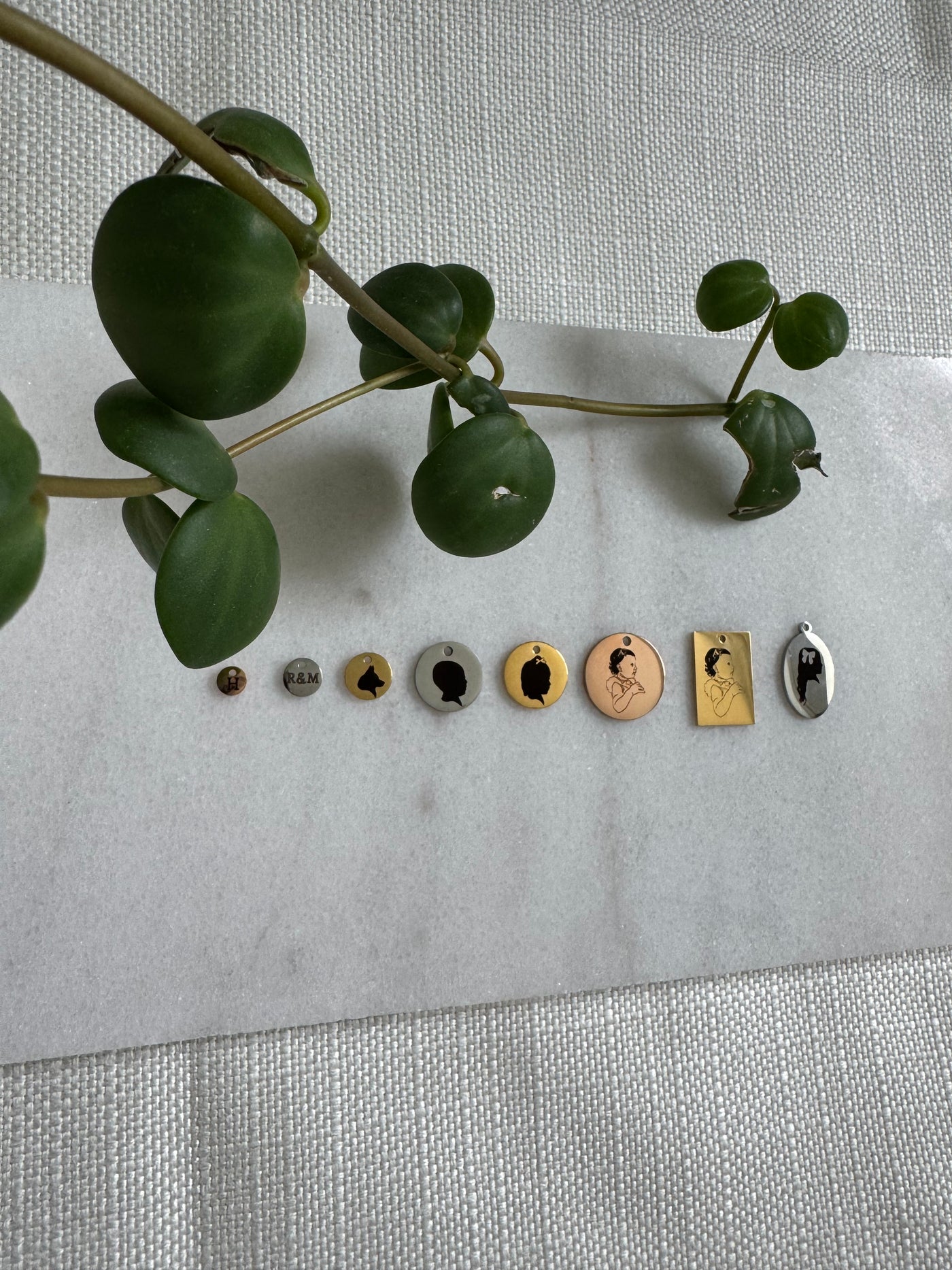 Stainless Steel Coin Necklace